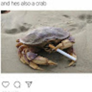 Meet your Posher, Stiyl